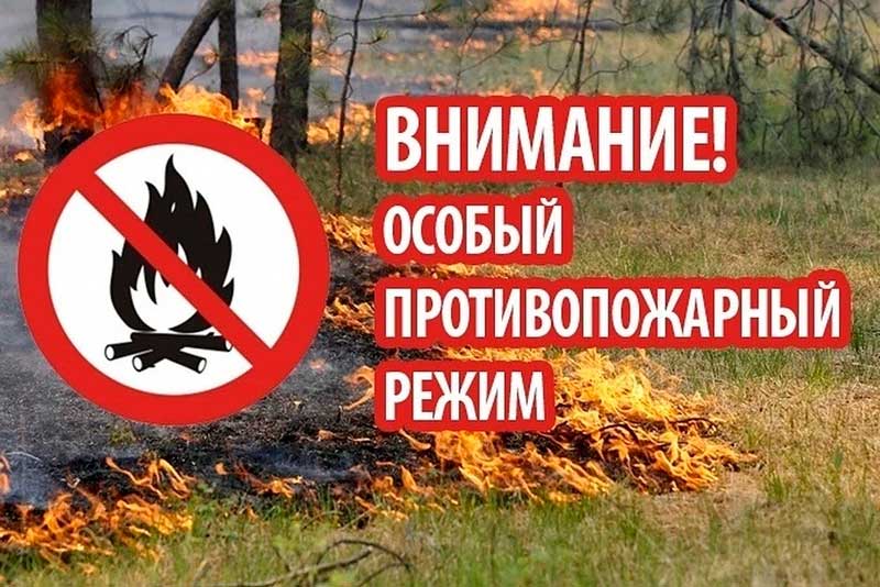 Об установлении особого противопожарного режима на территории Кантемировского городского поселения.